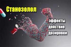 Станозолол Станозолол